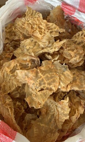 galeri pthiu88 (30) galeri pthiu88 (30)