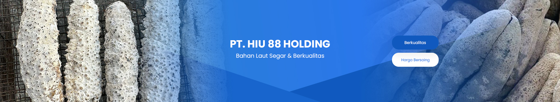 subdesk-pthiu88holding