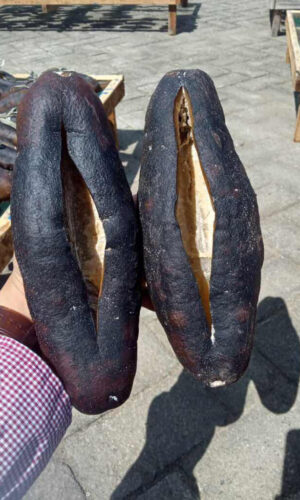 galeri5 pthiu88 (1) galeri5 pthiu88 (1)