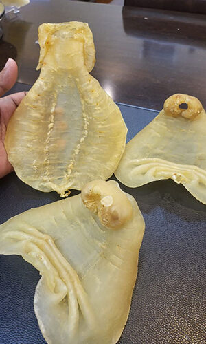 revgalhome-pthiu88 revgalhome-pthiu88